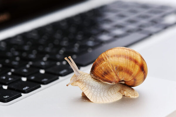Snail on laptop concept image of slow processing speed for computers.