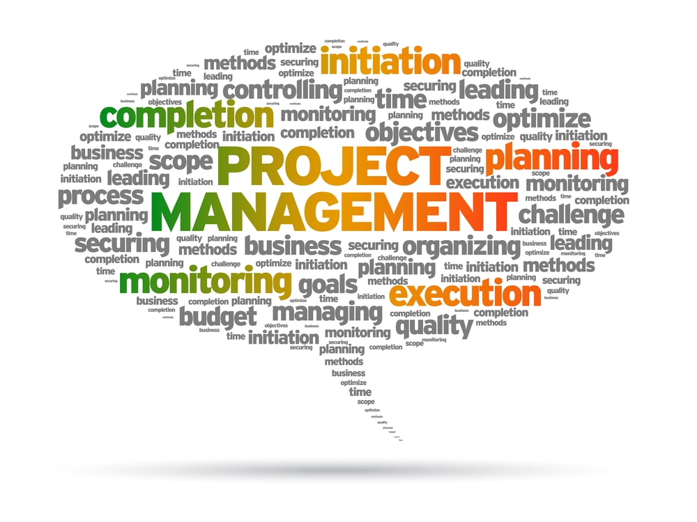 Project Management speech bubble